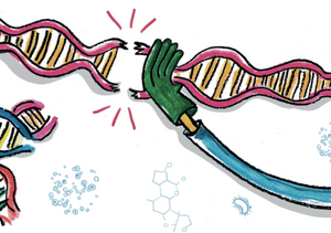 Skal vi klippe-CRISPR i vores DNA?